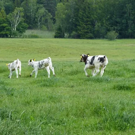 Druckerhof *
