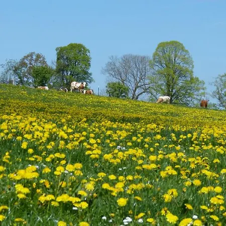 Druckerhof *