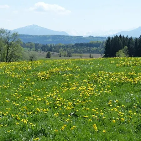 Διαμέρισμα Druckerhof *