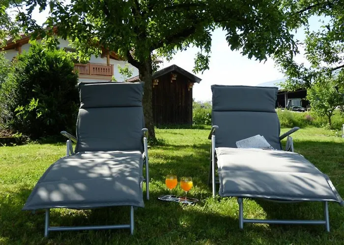 Daire Druckerhof